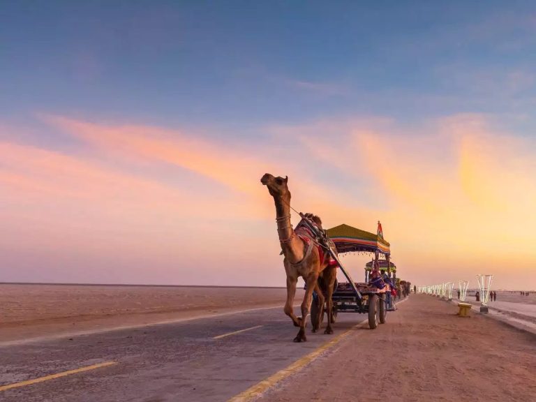 Explore the Great Rann of Kutch & Rann Utsav