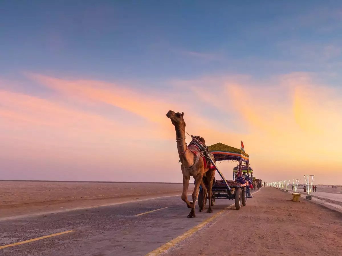 Explore the Great Rann of Kutch & Rann Utsav