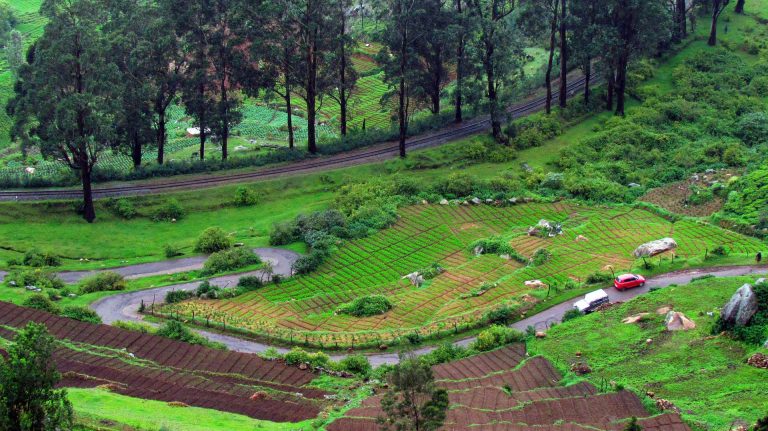 5 Villas in Ooty that Offer the Best Hill Views