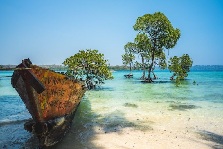 Warm Places To Visit In India In December 2022 