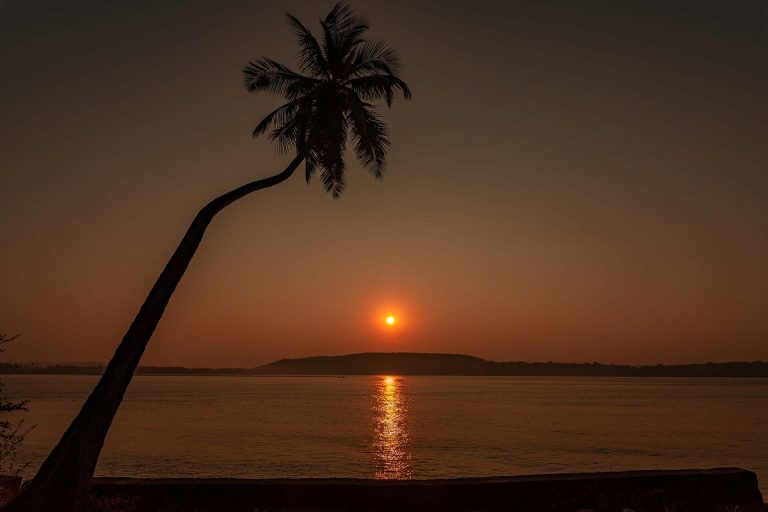 Ultimate Beginner’s Guide to Travel & Explore Goa