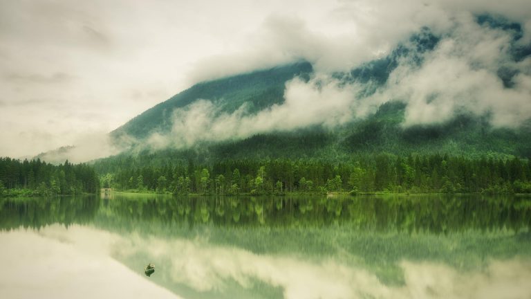 8 Places to Visit in South India This Monsoon Season