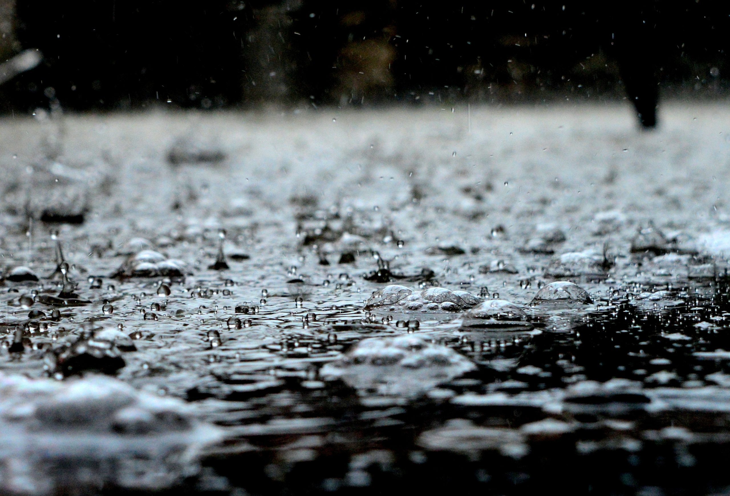 15 Must-Have Musical Hits for your Monsoon Songs Playlist