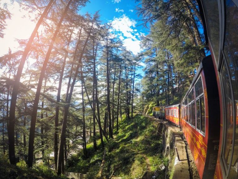 A Month-on-Month Guide Of The Best Places To Visit In India In 2024