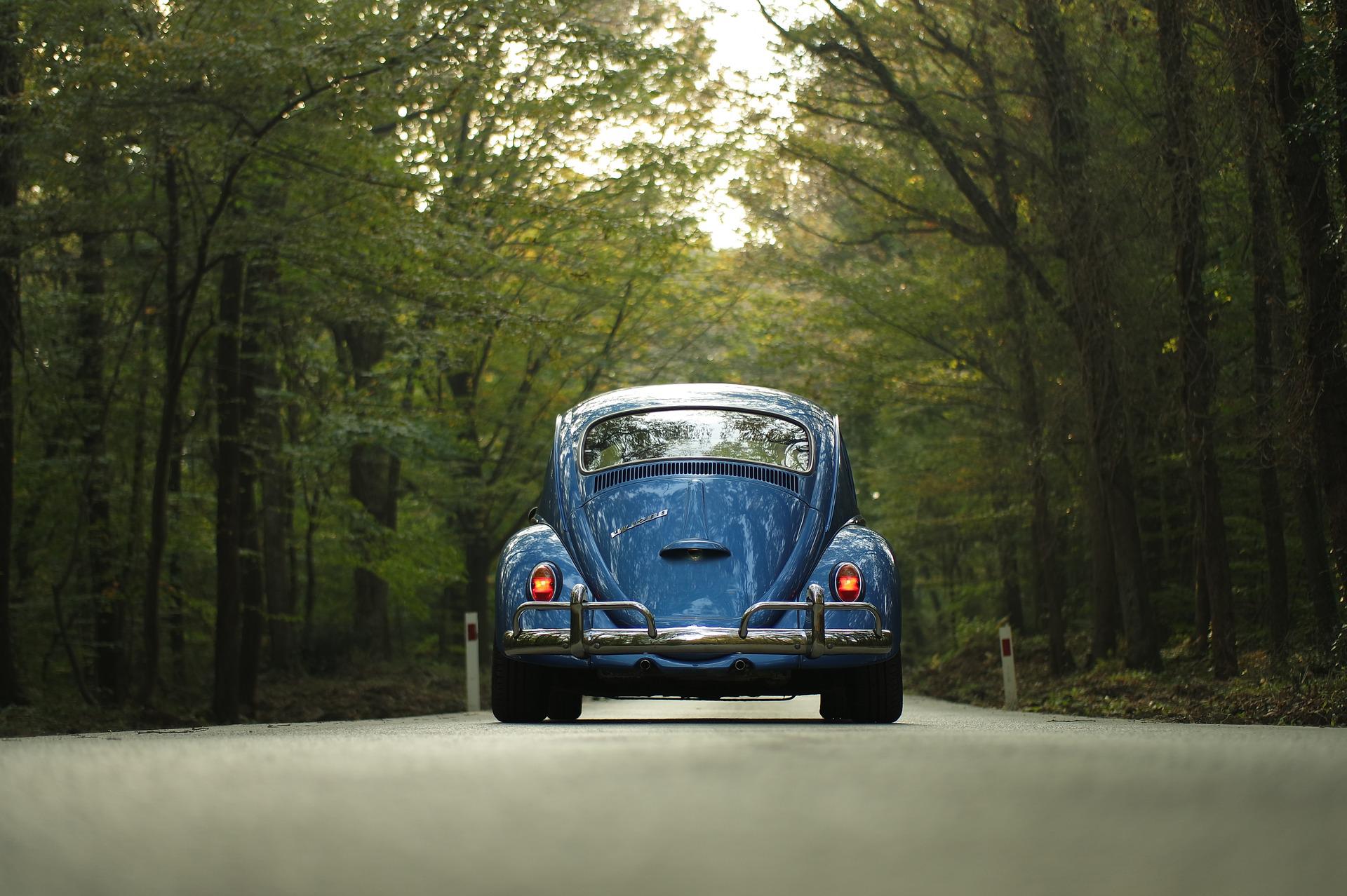 Road Trip from Delhi to Nainital to Jim Corbett | Places To Explore On The Way