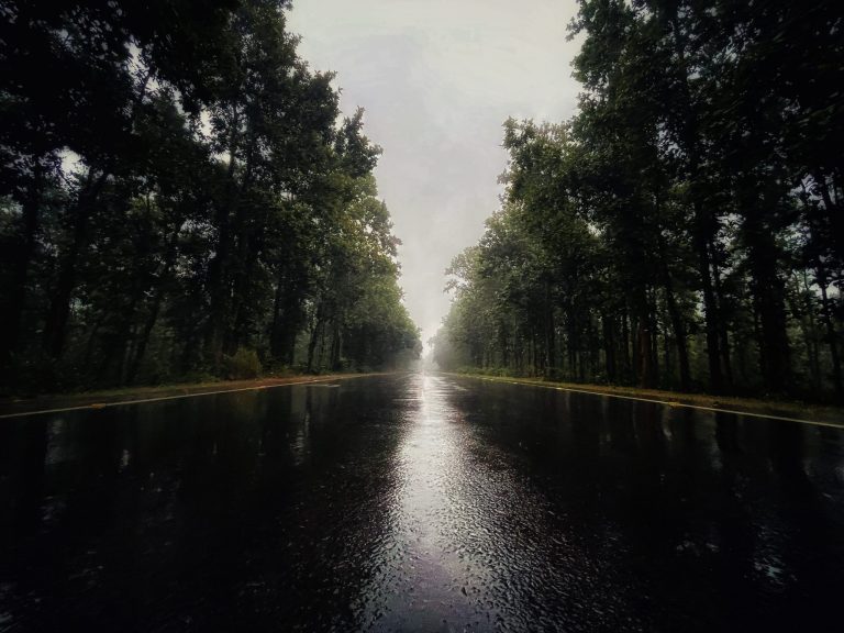 Exploring Offbeat Monsoon Destinations in India