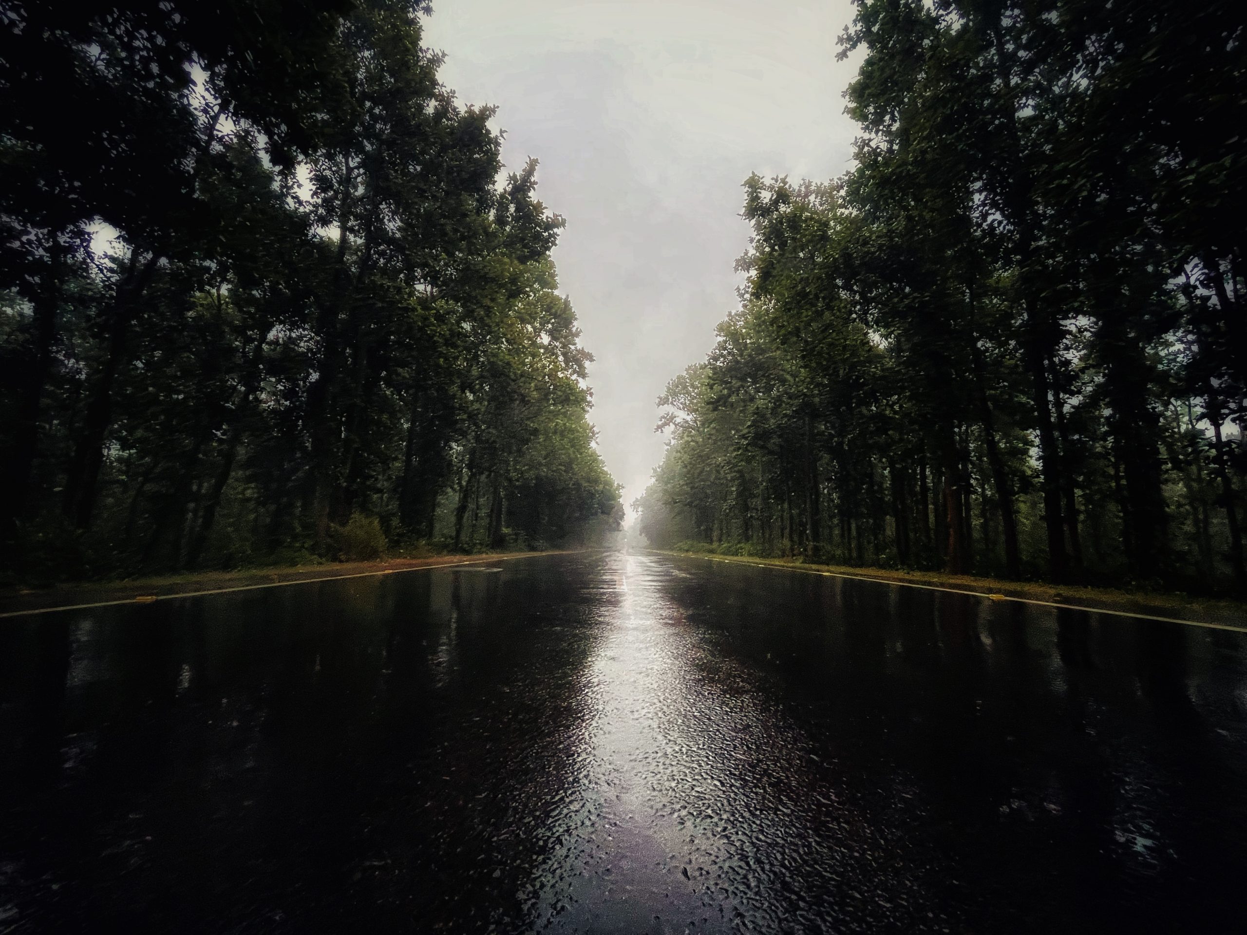 Exploring Offbeat Monsoon Destinations in India