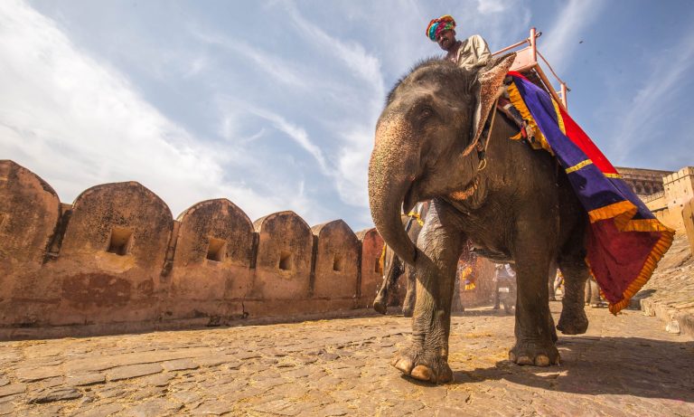 Top 10 Things to do in Rajasthan