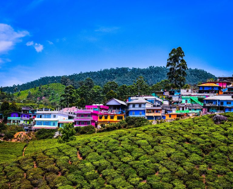 5 Serene Hill Stations Near Munnar for One-Day Trips (Devikulam & More)