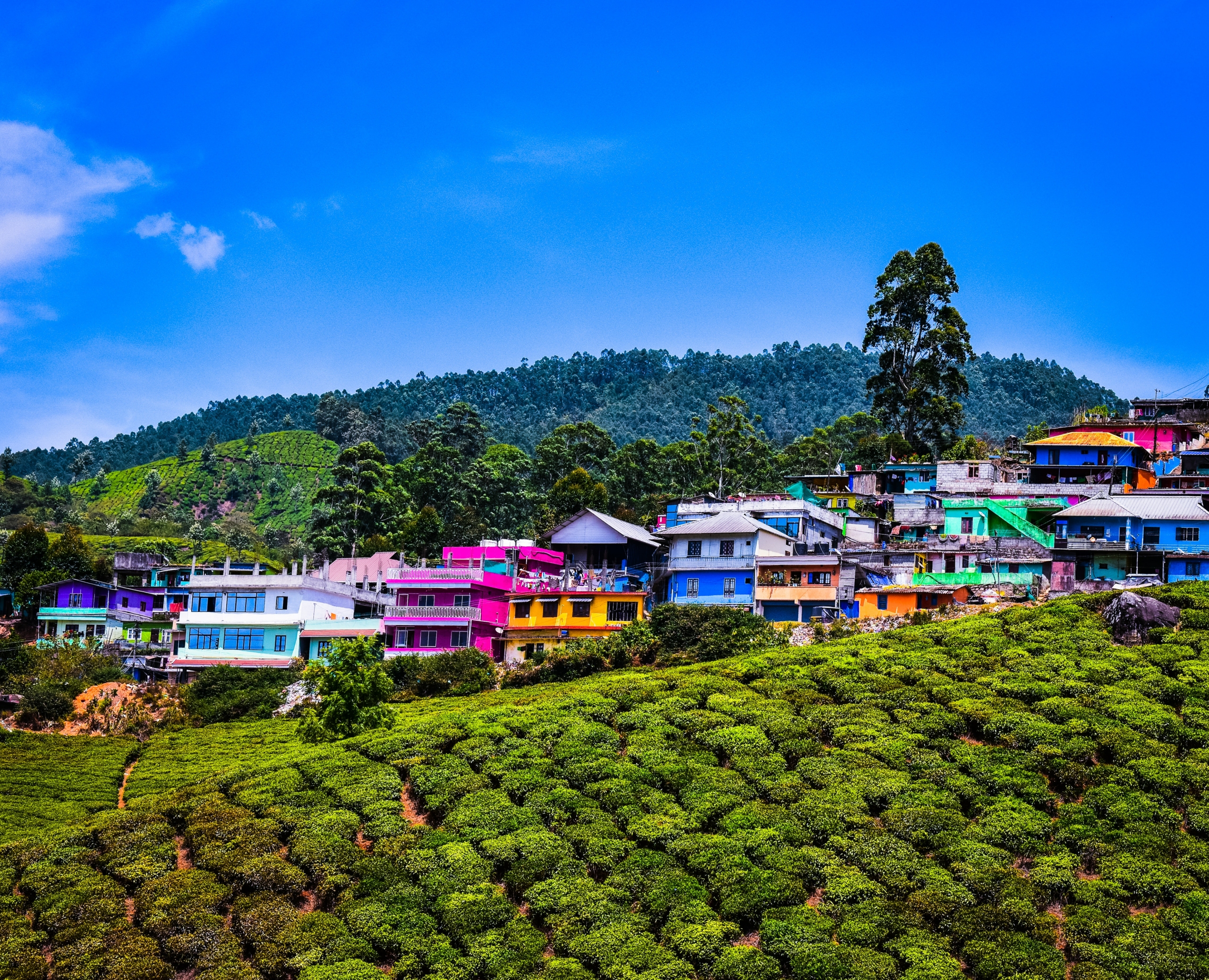 5 Serene Hill Stations Near Munnar for One-Day Trips (Devikulam & More)