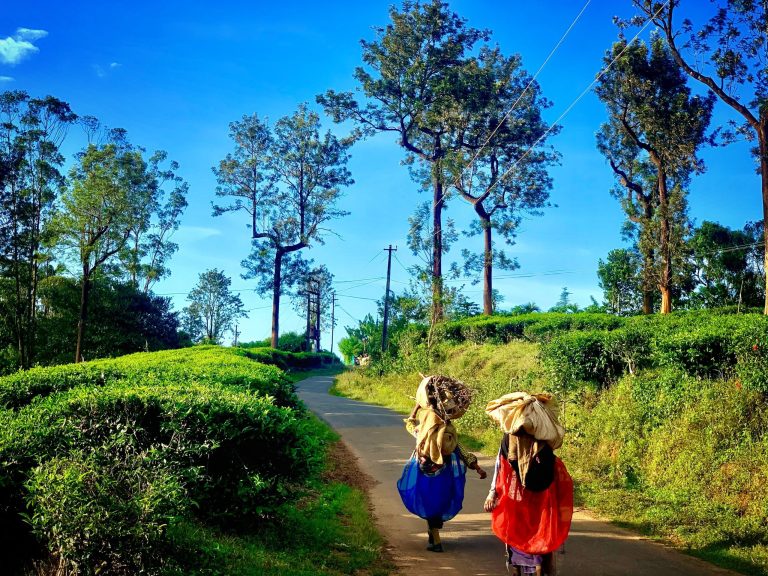 A Complete Guide To Places To Visit Near Bangalore In Summer