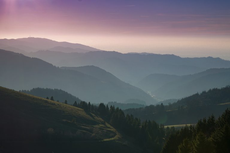 7 Best Homestays in Kasauli for Couples – Your Ultimate Guide to a Romantic Getaway
