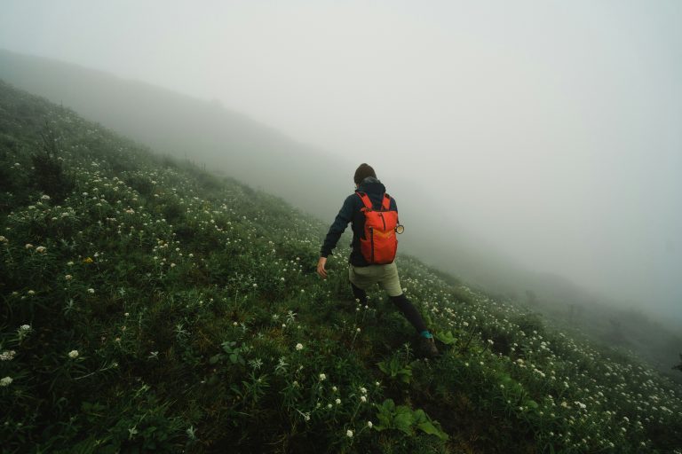 Escape to the Hill Stations of South India this April & May
