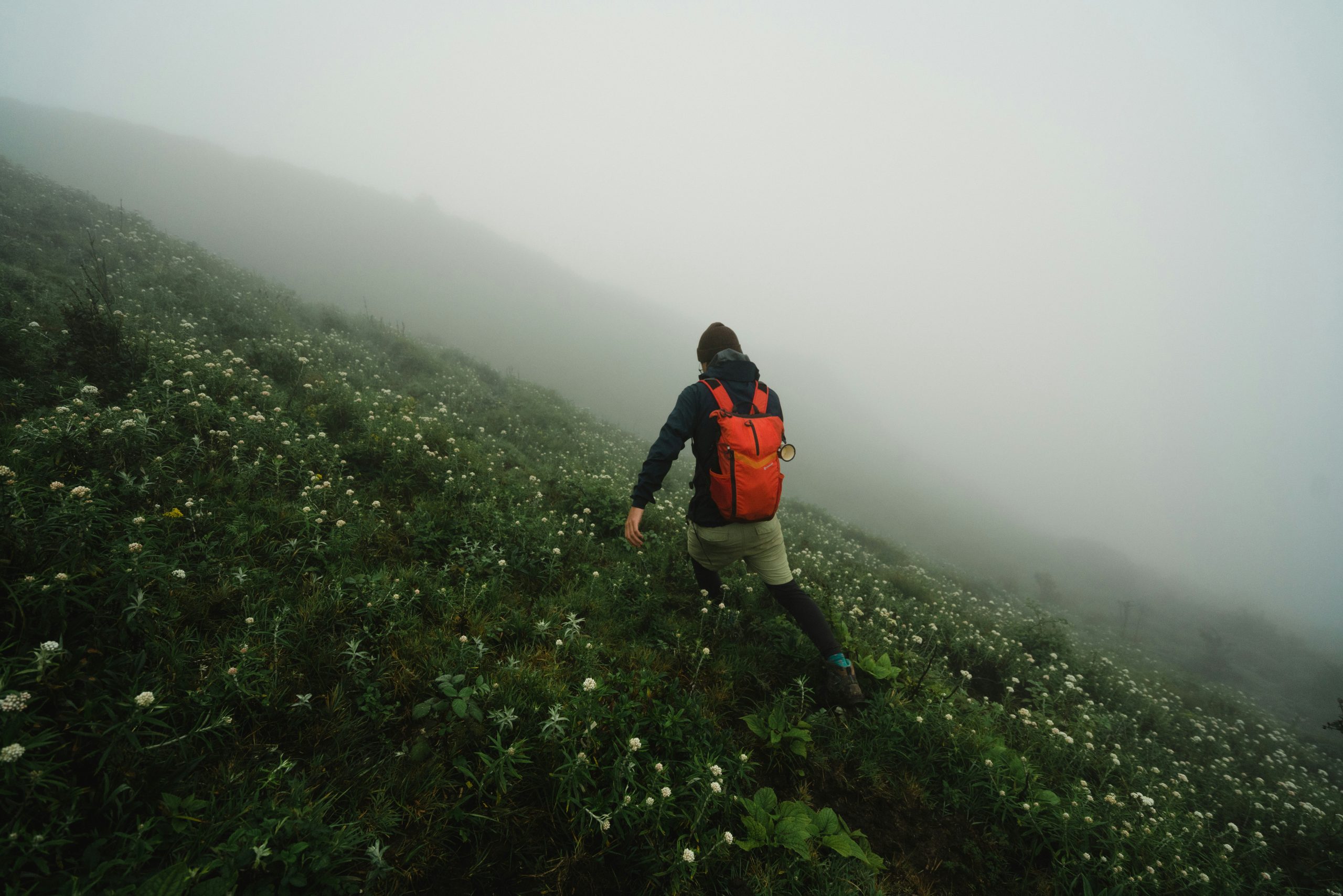 Escape to the Hill Stations of South India this April & May