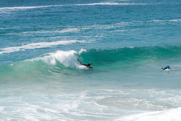 Things to Do in Goa 2024: Your Ultimate Travel Guide