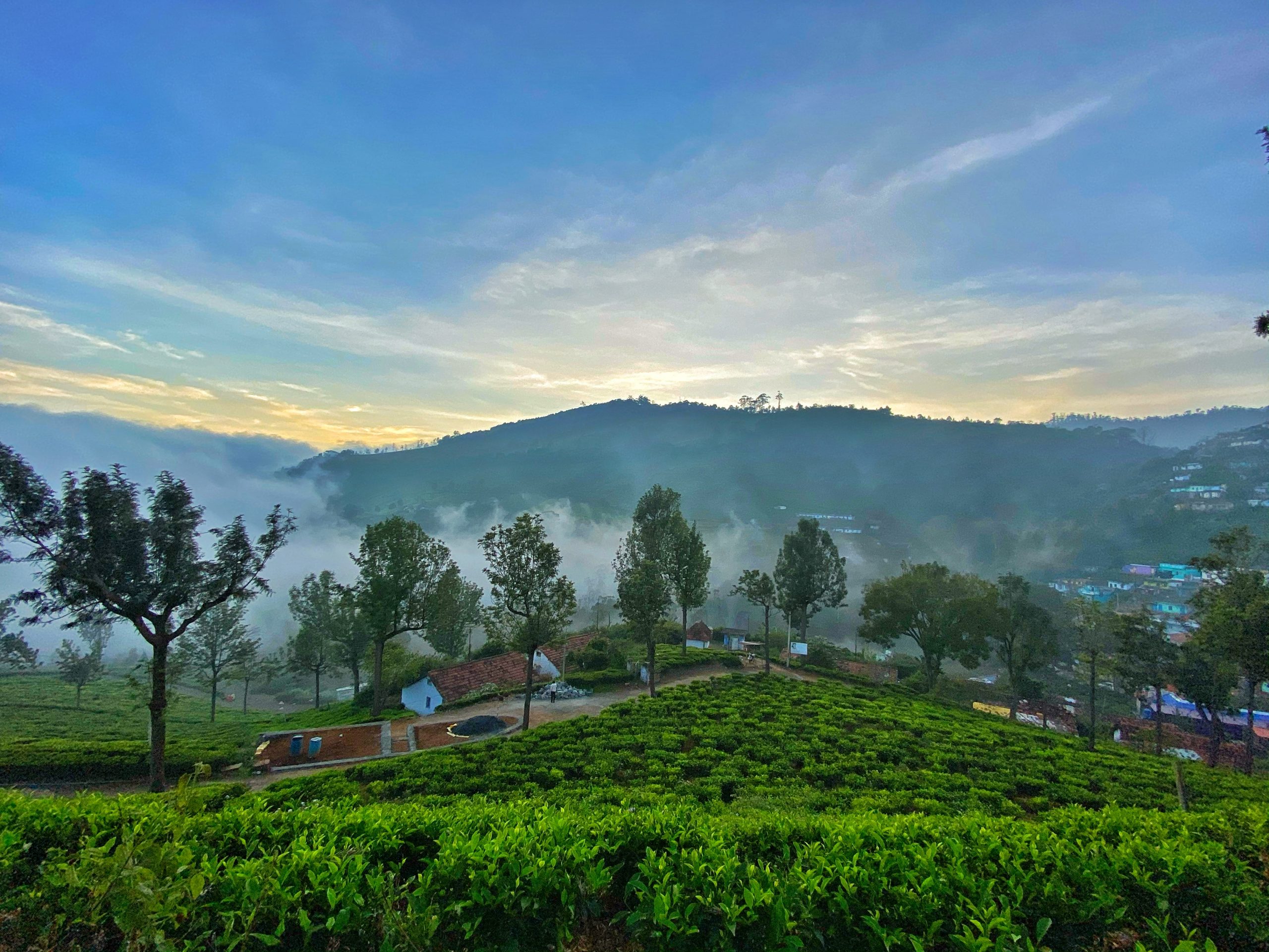 Monsoon Magic: Top Hill Stations in South India for a Romantic Escape