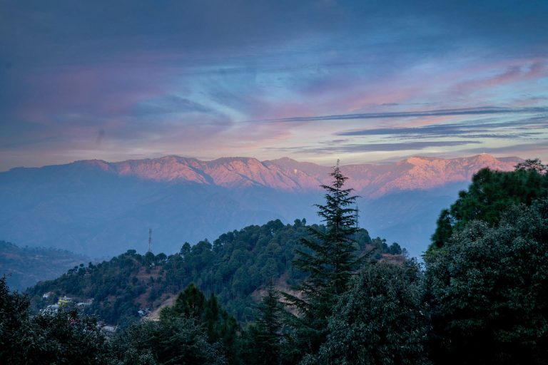 Things to do in Kasauli: Activities and Attractions Guide