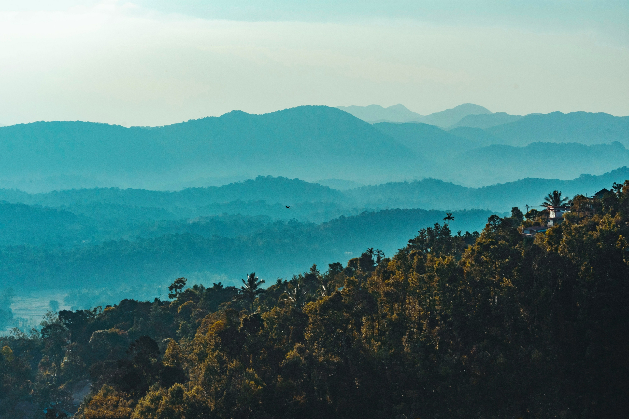 Things To Do & Places To Visit In Coorg