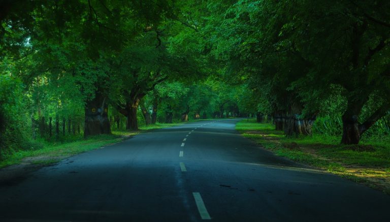 How to Reach Ooty
