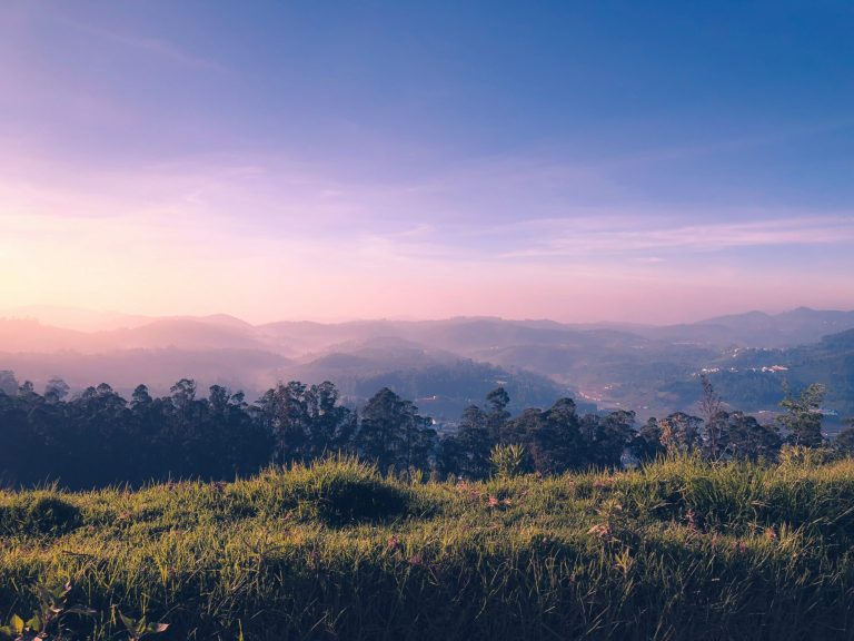 Best Time to Visit Ooty