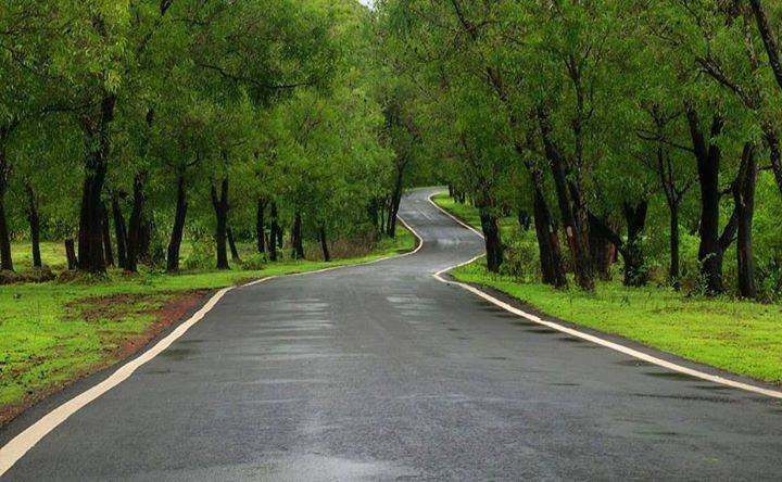 Kochi to Munnar Road Trip : Perfect Weekend Getaway