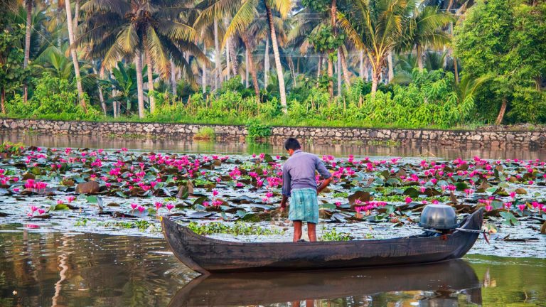 20 Best Places to Visit in Kerala in August 2026 (Onam Guide)