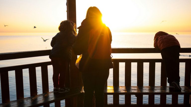 Making Memories: The Ultimate Family Getaway to Wayanad 