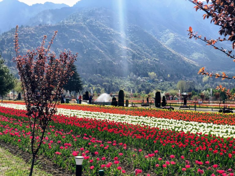 Kashmir in August–September 2026: 12 Places for a Family Trip