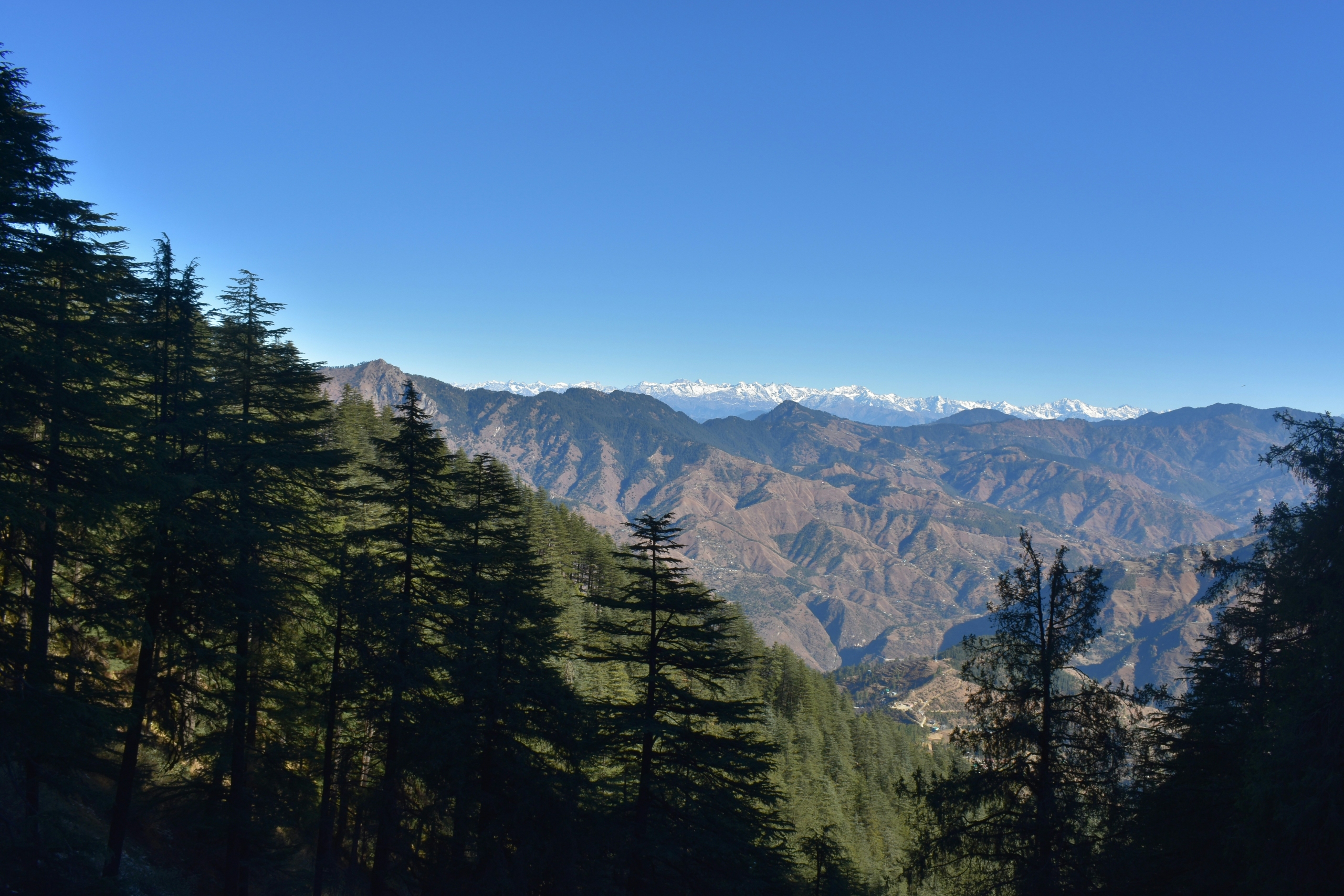 Best Time To Visit Manali