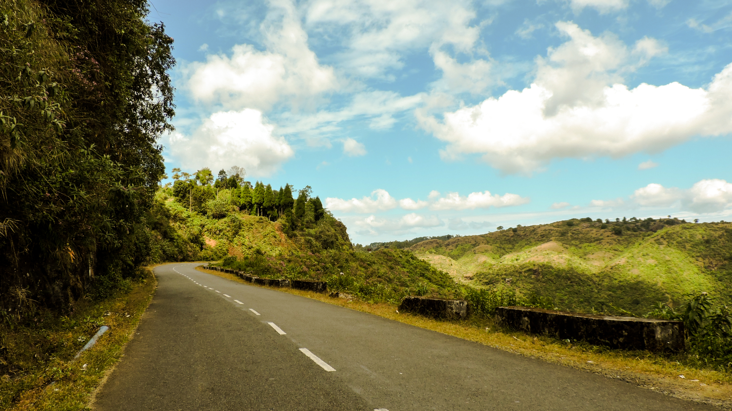 Chandigarh to Kasauli: How to Travel, Where to Stay & Best Time to Visit