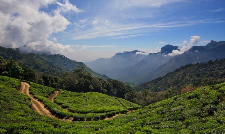 A Photographer’s Ultimate Guide To Capturing Munnar