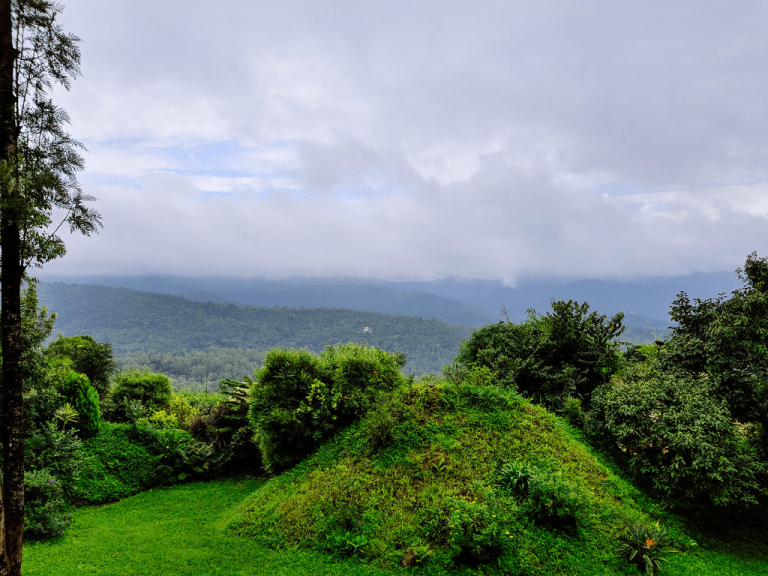 From Coffee Beans to Cosy Stays: The Ultimate Travel Guide to Chikmagalur