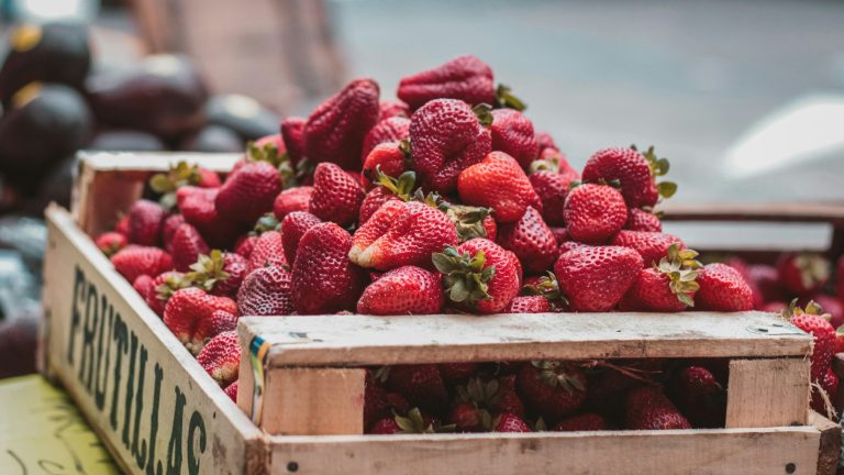 From Fields to Feasts: Your Guide to the Strawberry Season in Mahabaleshwar