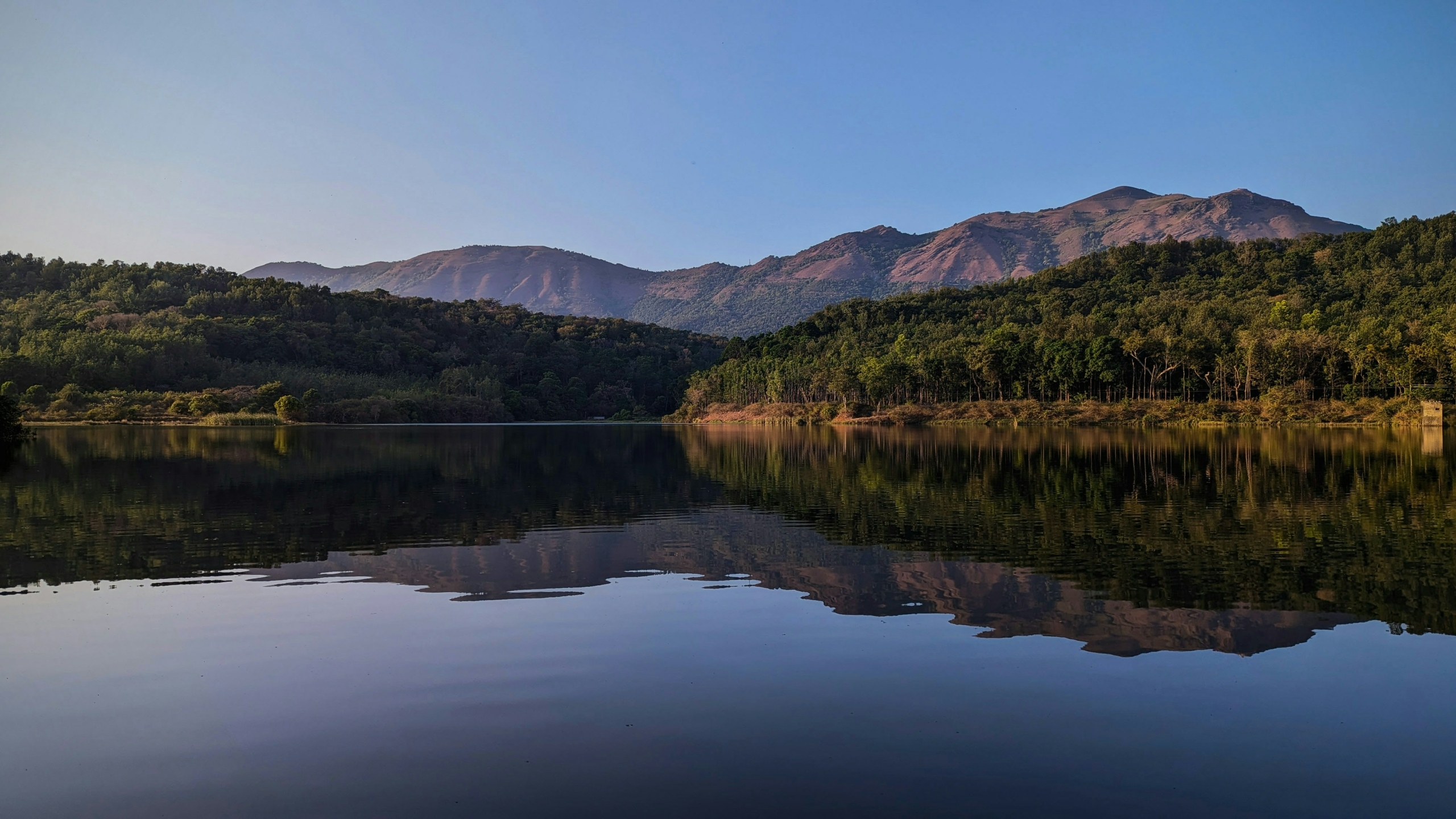Chikmagalur Adventures Guide: Treks, Waterfalls, Coffee Tours and Safaris