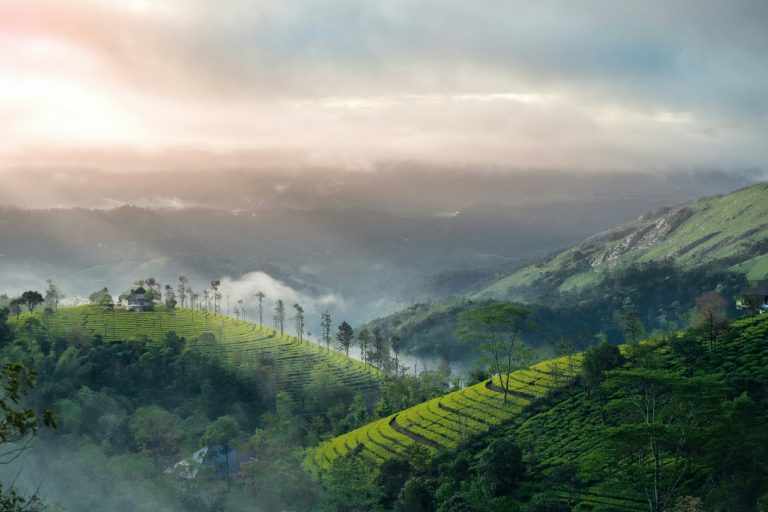 How To Reach Munnar