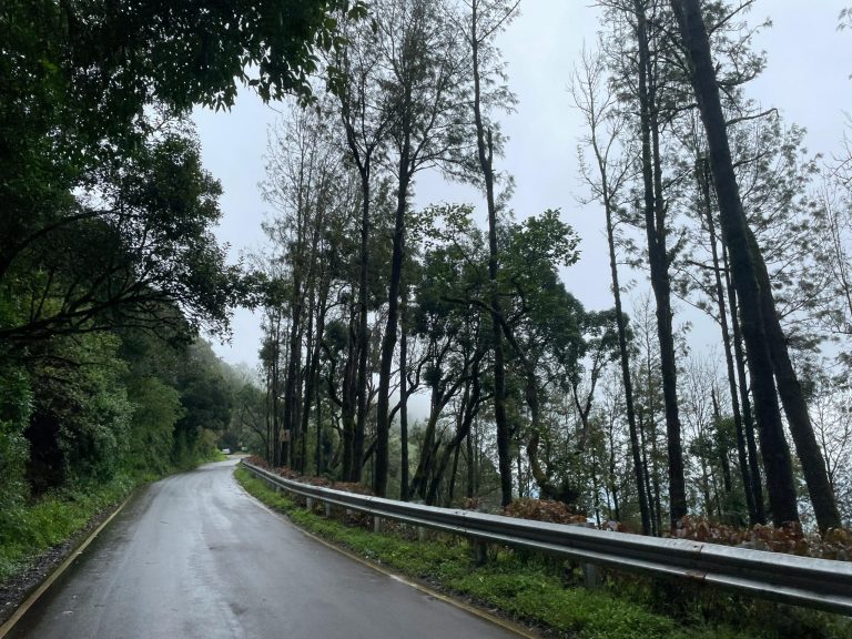 Bangalore to Mysore to Coorg Road Trip 2026: A 3-Day Monsoon Itinerary