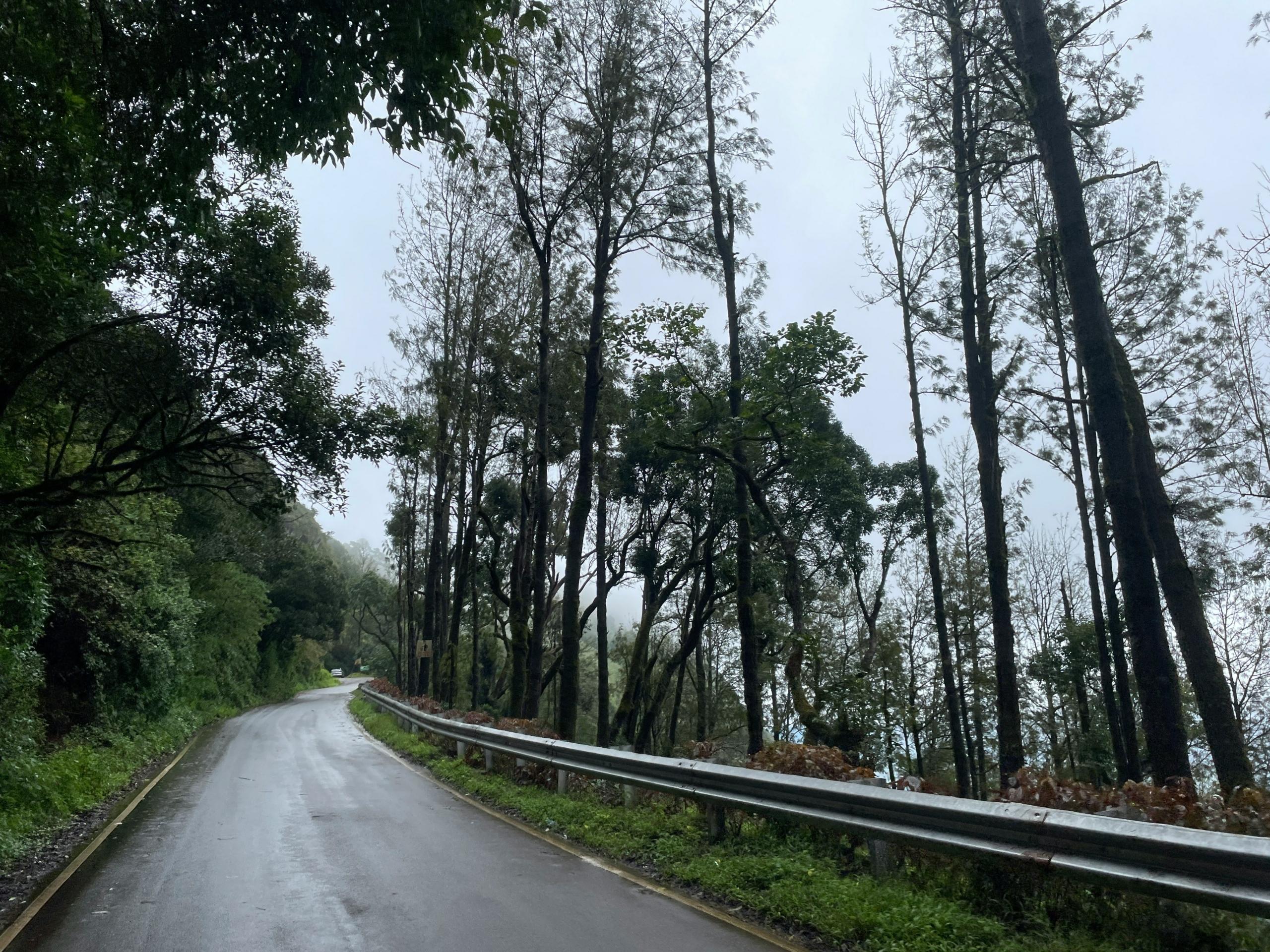 Bangalore to Mysore to Coorg Road Trip 2026: A 3-Day Monsoon Itinerary