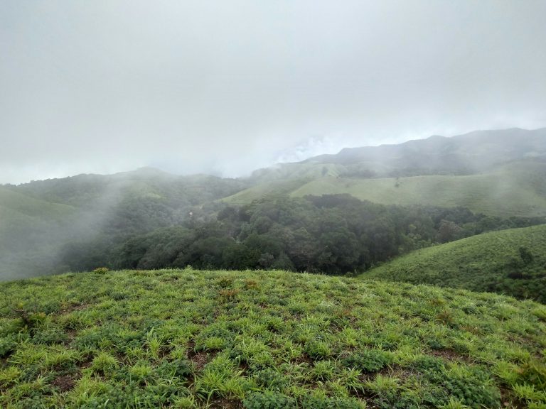 Coorg in Monsoon 2026: 18 Best Things to Do + Where to Stay