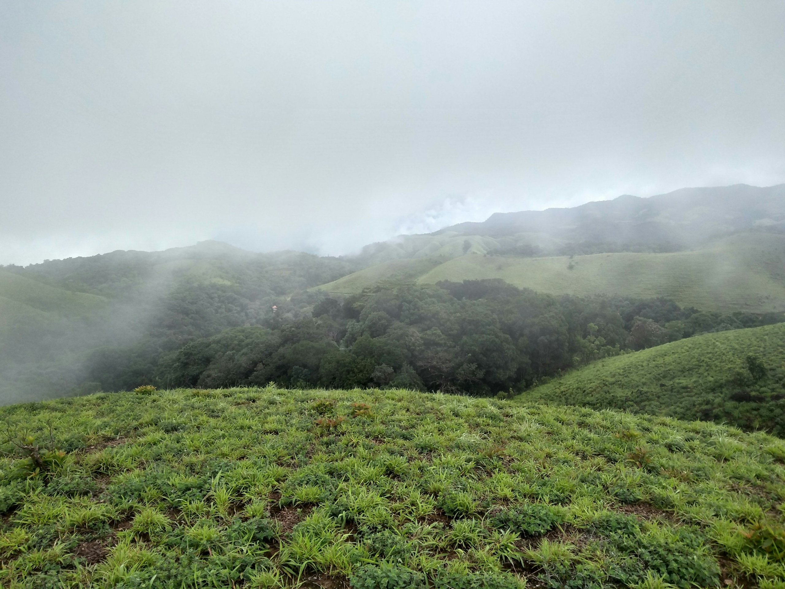 Coorg in Monsoon 2026: 18 Best Things to Do + Where to Stay