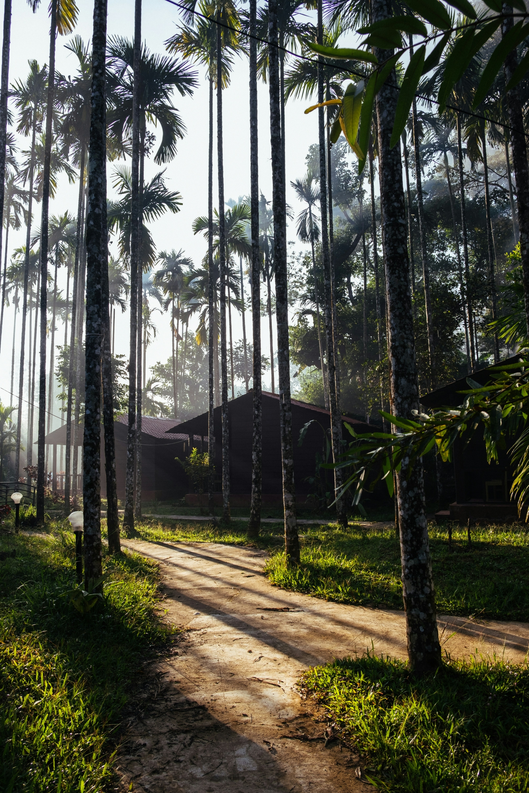 Best Time to Visit Coorg