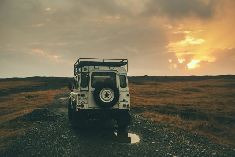 Road Trip from Bangalore to Wayanad: Everything You Need to Know Guide
