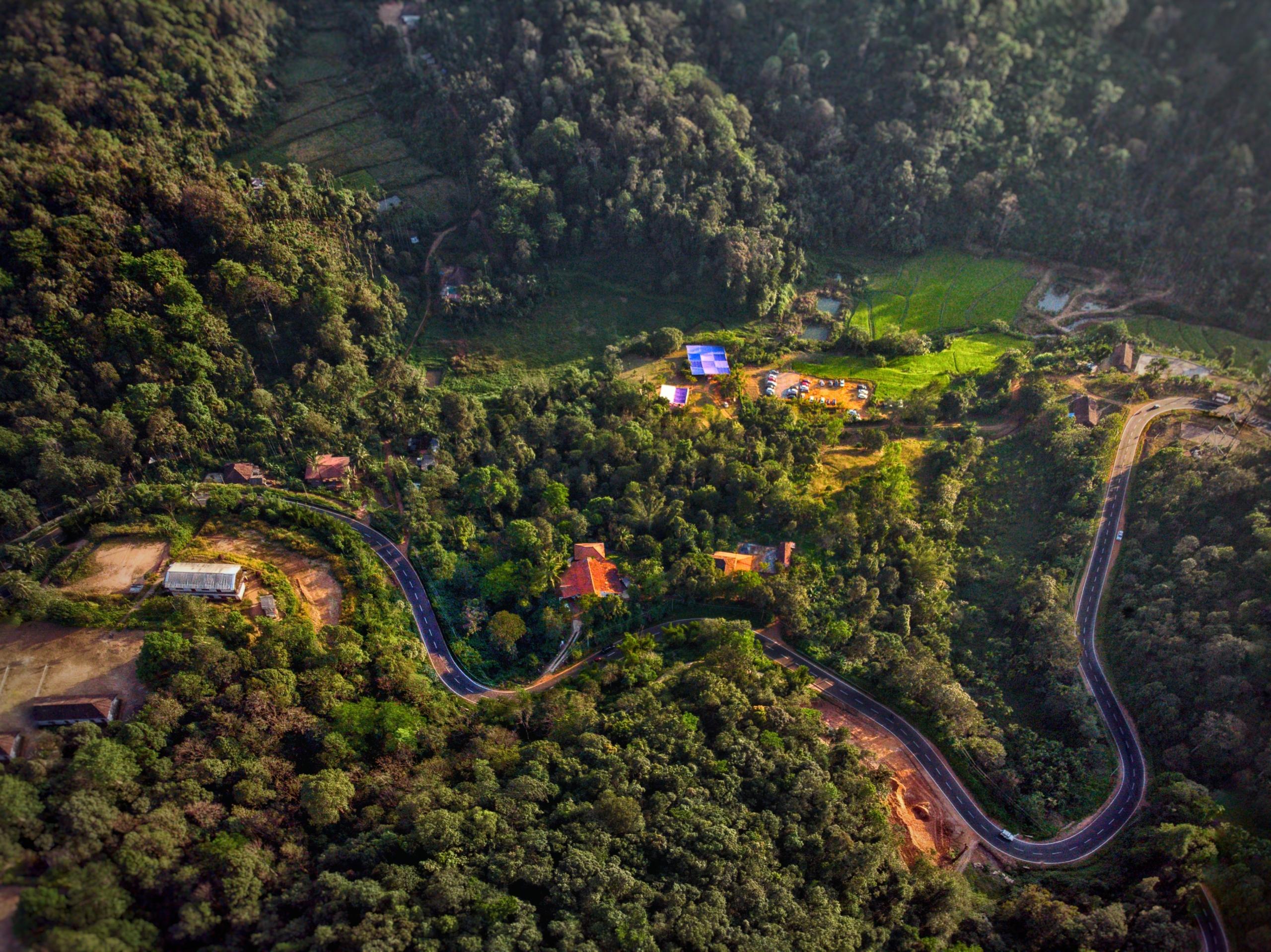 The guide for a memorable Bangalore to Coonoor Road Trip