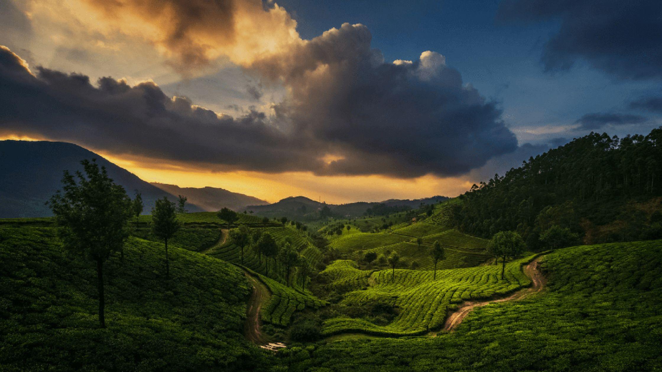 Things to Do in Coonoor