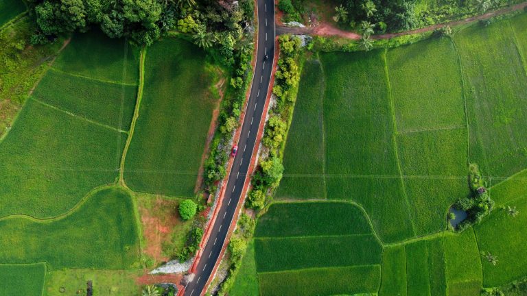 Bangalore to Chikmagalur Trip Plan: Weekend Getaways from Bangalore within 300km