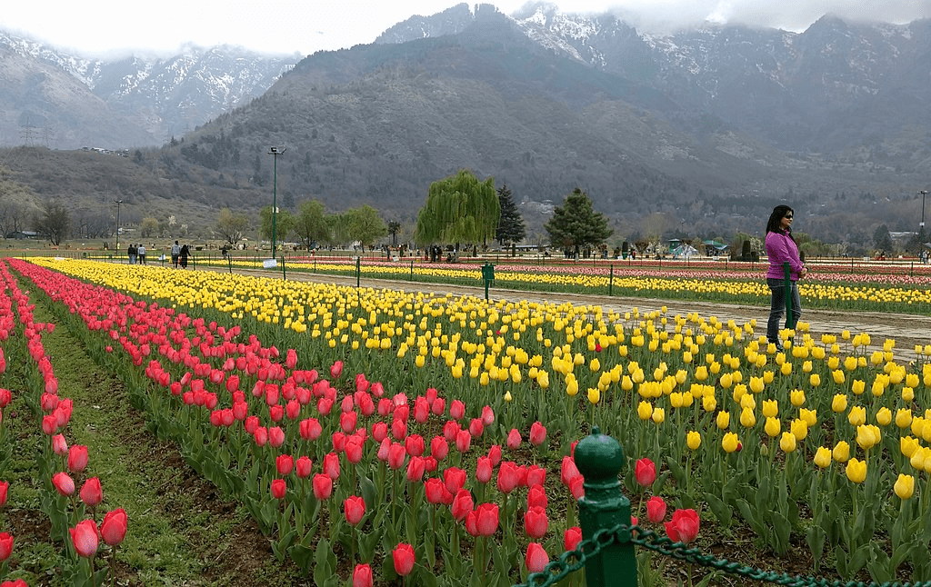 Best Time to Visit Srinagar