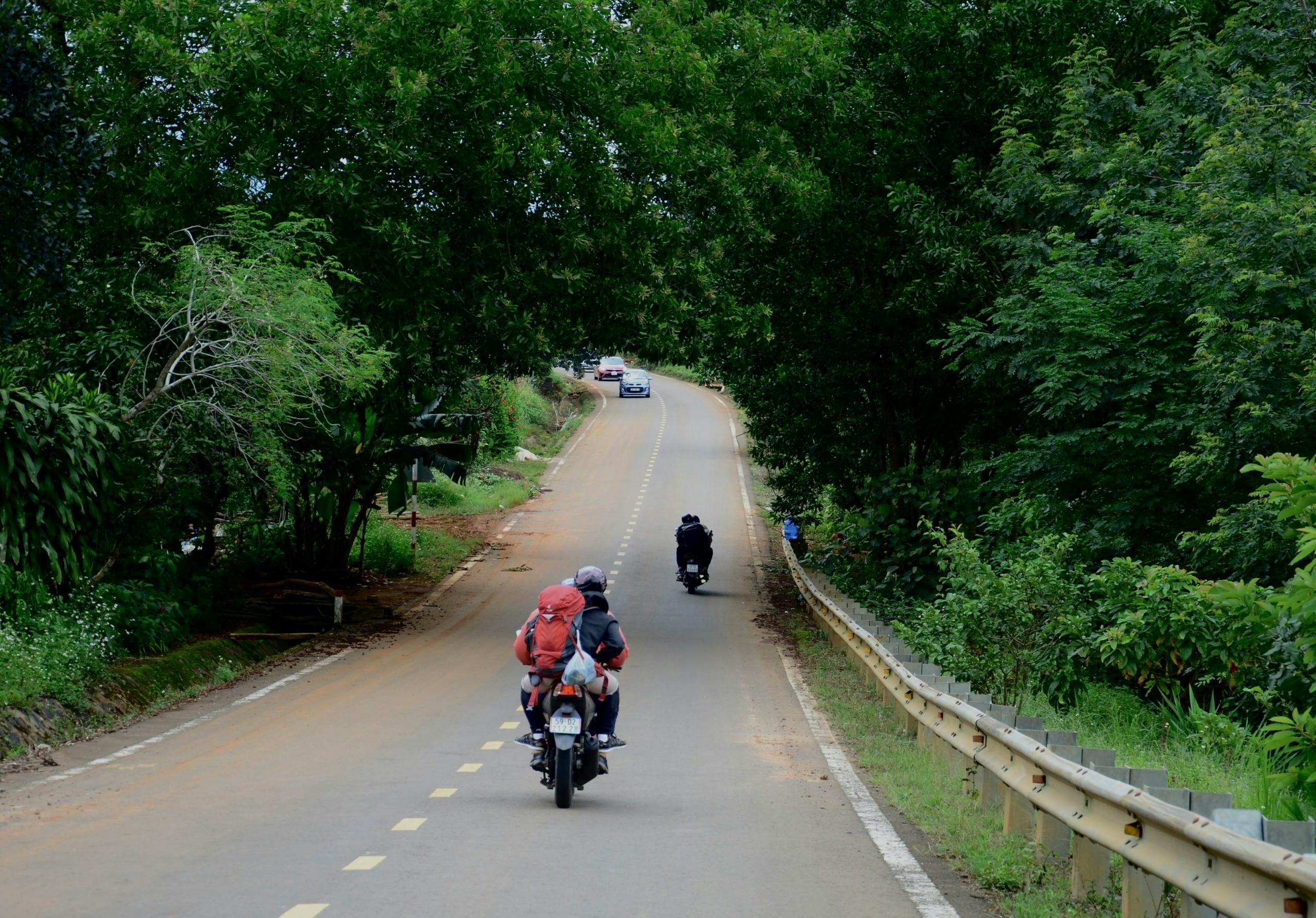 A Road Trip From Bangalore to Pondicherry: Distance, Places To Visit & More! October Travel Guide
