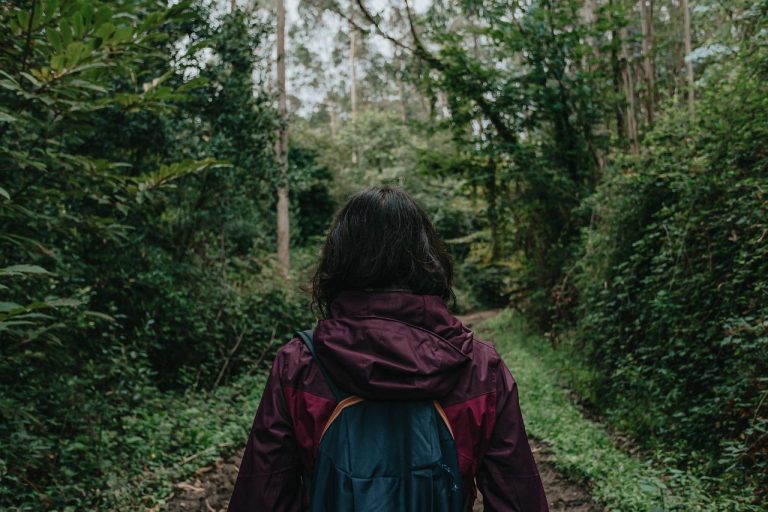 Kodaikanal Trekking in Monsoon 2026: 8 Best Trails + Safety Tips