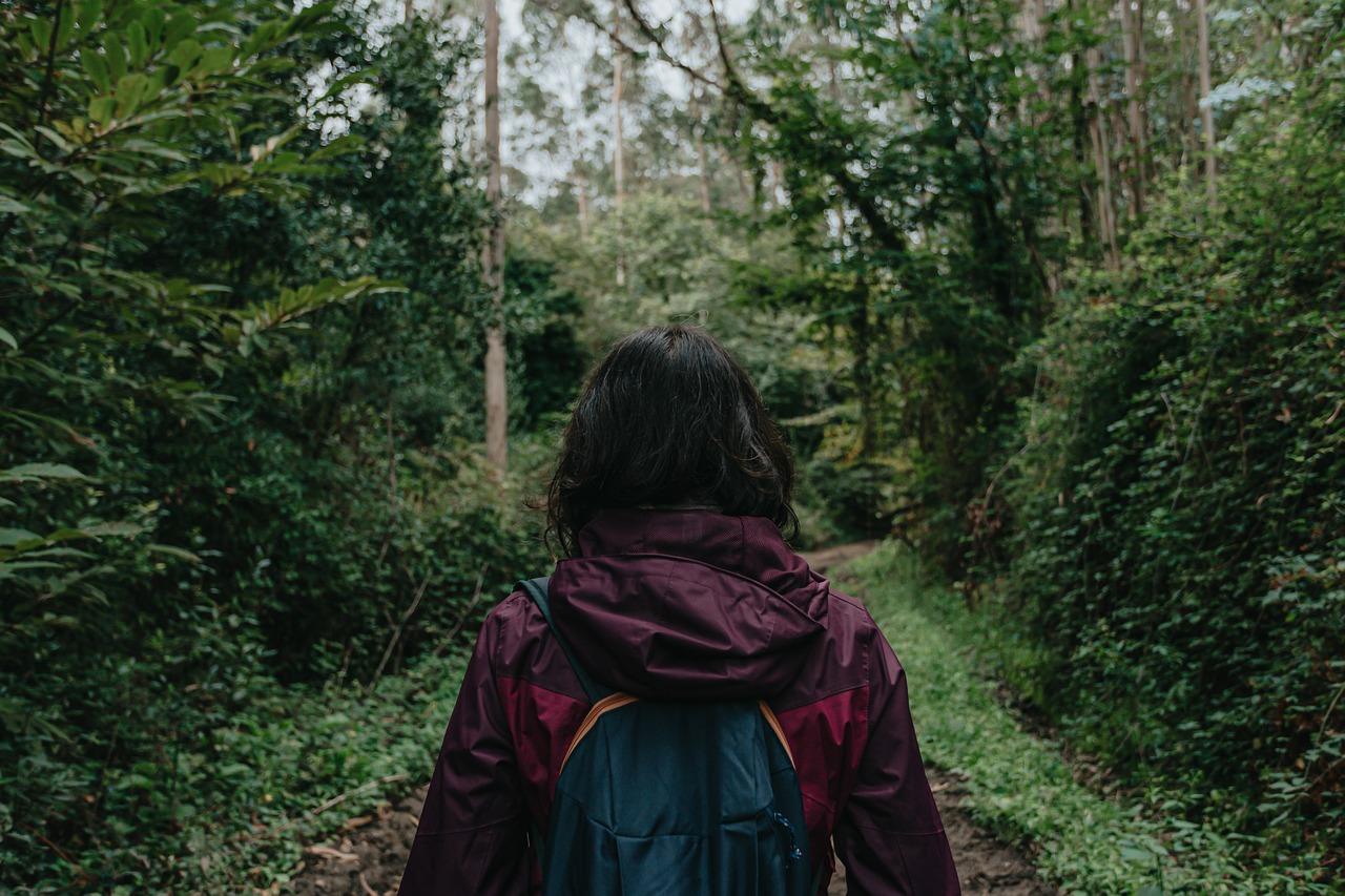 Kodaikanal Trekking in Monsoon 2026: 8 Best Trails + Safety Tips