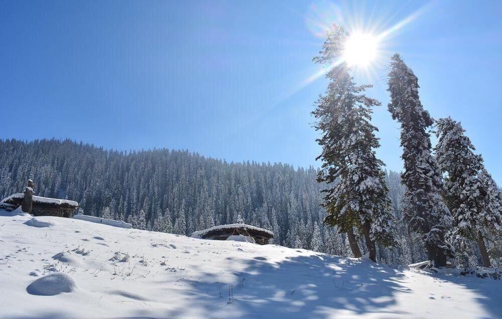 Places to visit in Chail