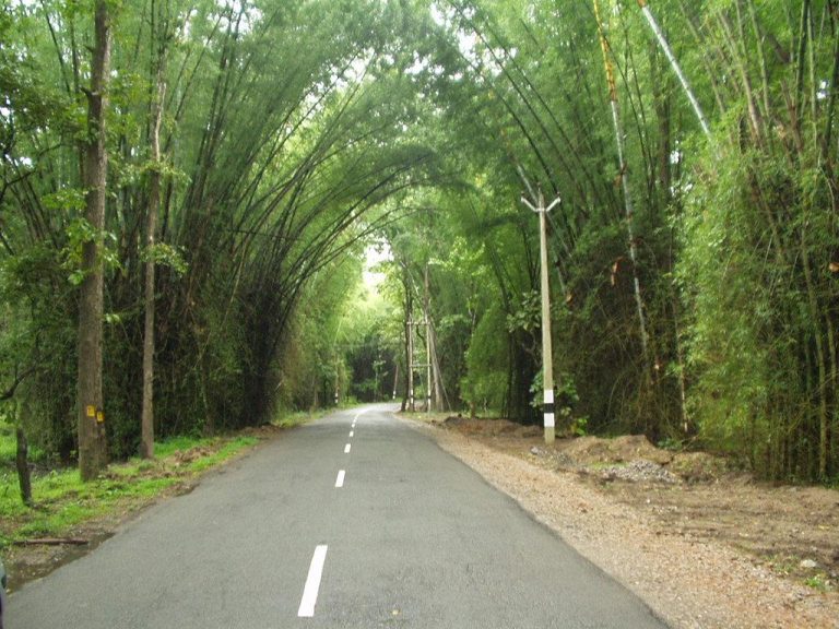 Bangalore to Kochi Road Trip : Must-visit stops, Places to eat and More